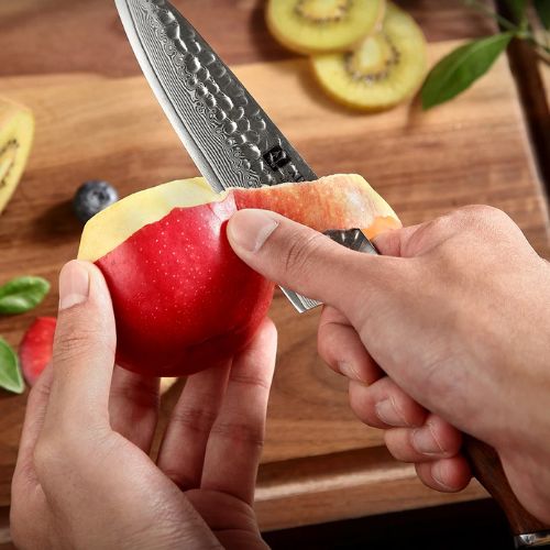Couteau japonais santoku epluche 